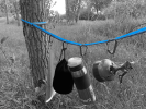 Charlotte's Webbing Camp Organizer