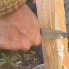 Quick Feather Folding Knife