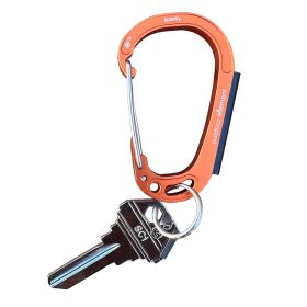 Sparky & Scratch Key (Key Type: SC1, Color: Silver)